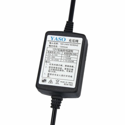Auto Car/Van/Motorcycle 12 Volts smart Intelligent charger 1300 ma