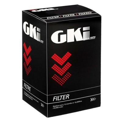 GM Fuel Filter