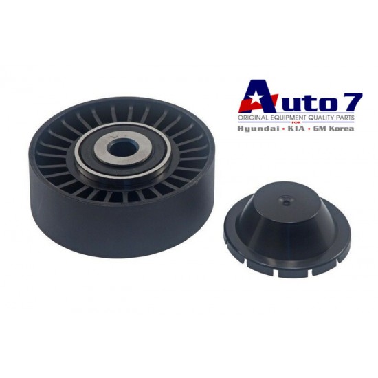 Hyundai Drive Belt Idler Pulley