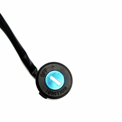 Honda Fourtrax TRX300cc/TRX300FW  Ignition Key Switch 1990-2000
