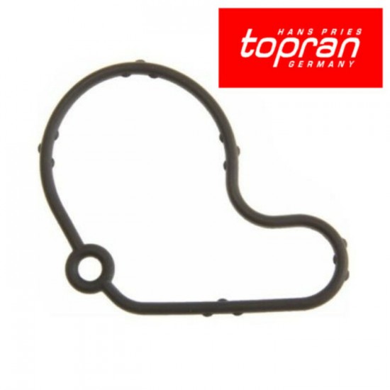 Vacuum Pump Gasket  For TDI ALH