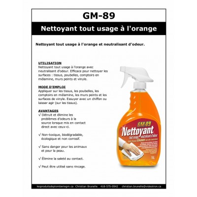 GM-89 - Nettoyant tout usage - 4L