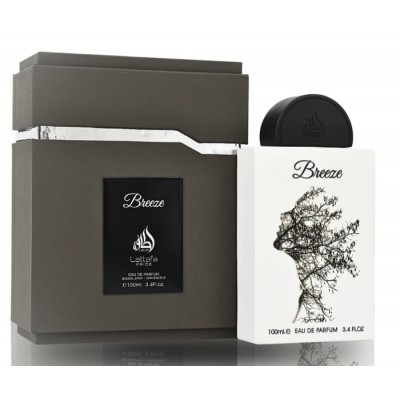Breeze Eau de Parfum pour homme