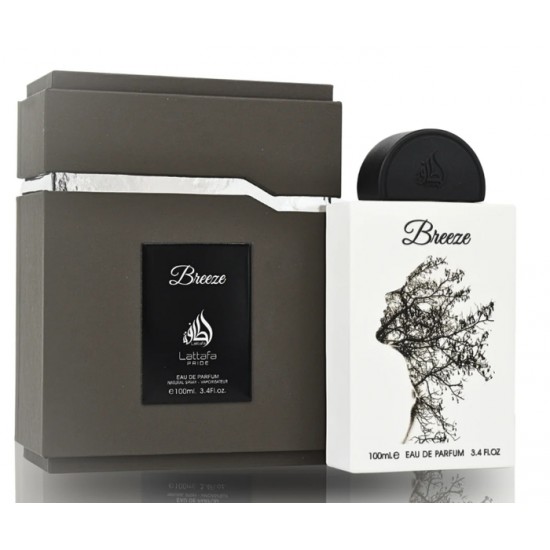 Breeze Eau de Parfum pour homme