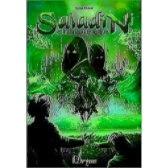 Saladin et l'anneau magique Tome 2