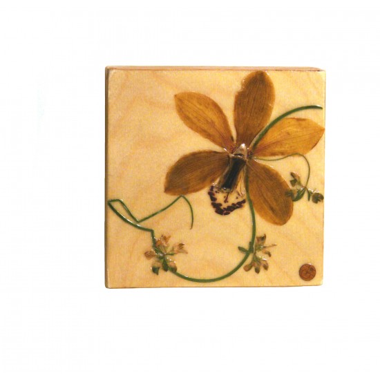 Murale petite - Orchidée - aneth