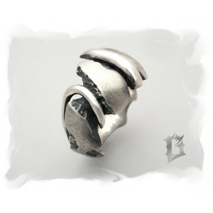 Bague #317
