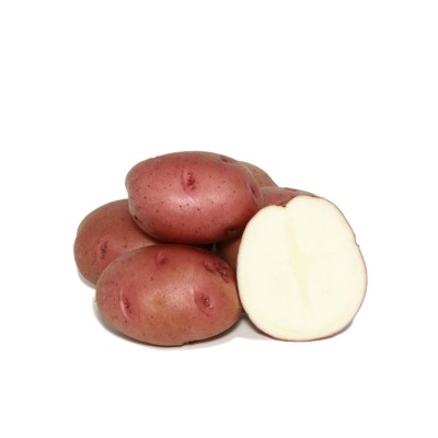 #1 Rouge