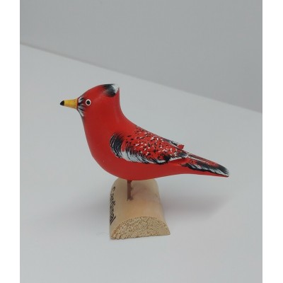 Oiseau Cardinal