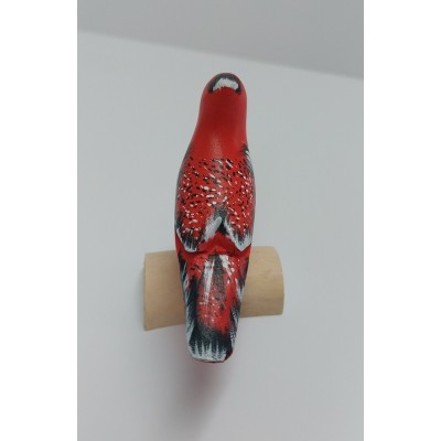 Oiseau Cardinal