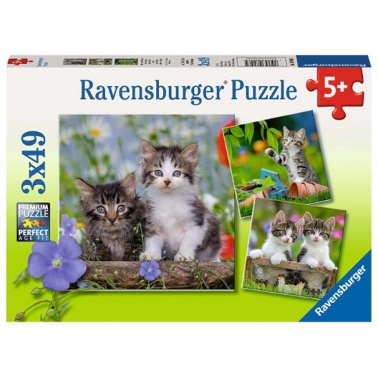 Ravensburger - Casse-tête Chatons tigrés 3 x 49 pièces