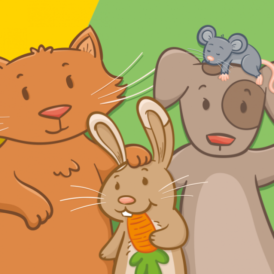 Placote - Les lotos des petites phrases