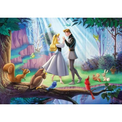 Ravensburger - Casse-tête La Belle au bois dormant 1000 pièces