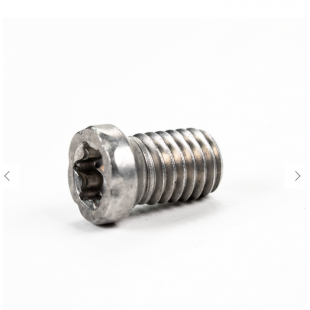 Vis longue en acier inoxydable pour lame ronde...