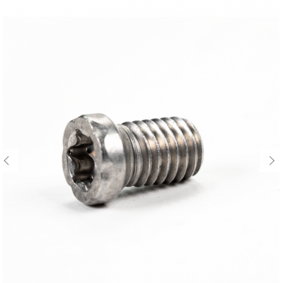Vis longue en acier inoxydable pour lame ronde...