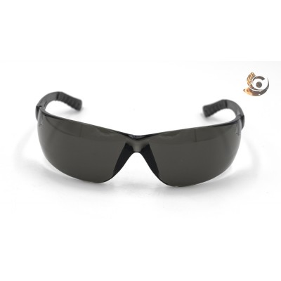 Lunette de sécurité teinté DSISAFETY