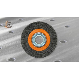 Brosse établie 6