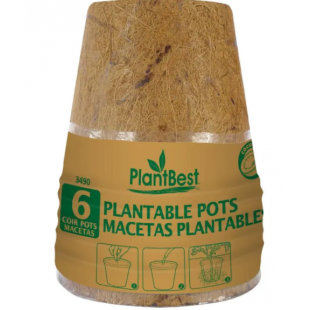 Paquet de 6 Pots Biodégradables en Tourbe, 4 po
