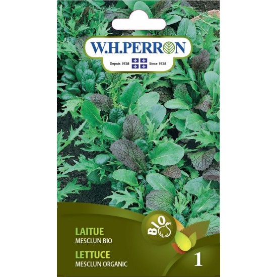 Laitue mesclun bio