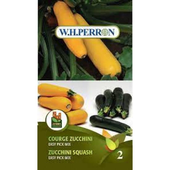 Courge zucchini Easy Pick mélange jaune et vert 