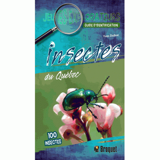 Insectes du Québec par Yves Dubuc