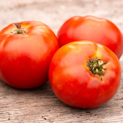 Tomate Plourde-Bio