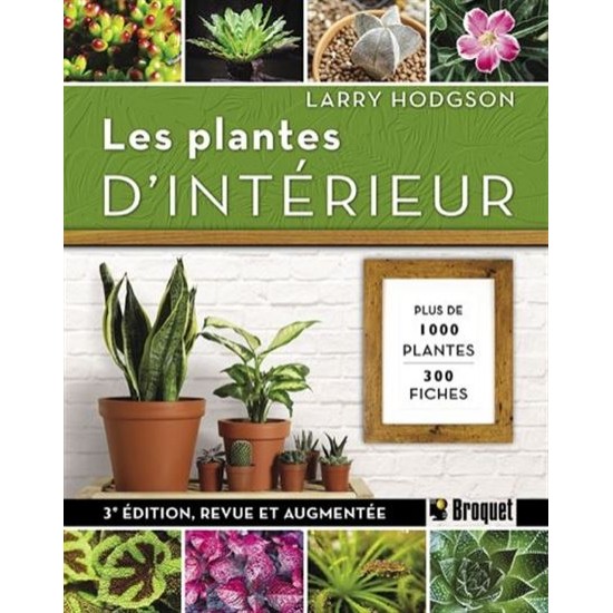 Les plantes d'intérieur - Larry Hodgson - Livre