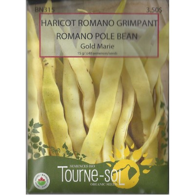 Haricot Romano Grimpant Gold Marie