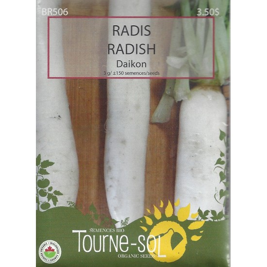 Radis Daikon