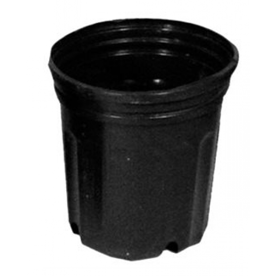 Pot pépinière #600 - 6L (1,72gal)      