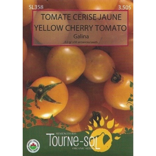 Tomate cerise jaune Galina