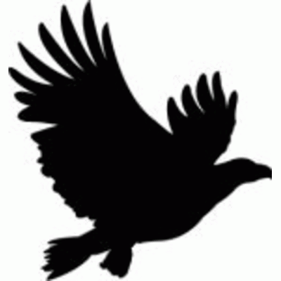 Aigle 1