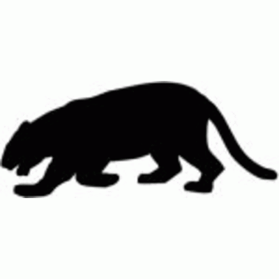 Jaguar 1