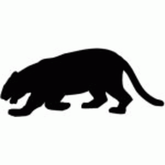 Jaguar 1