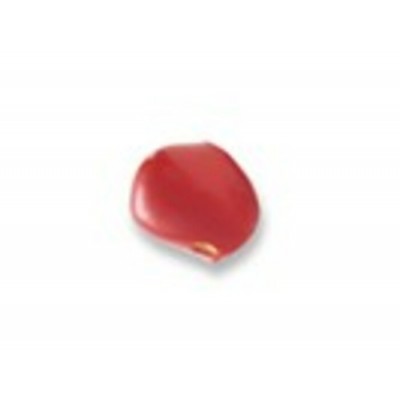 ProKNOWS - C - Nez Professionel de Clown      