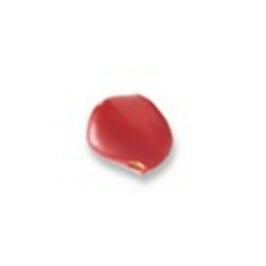 ProKNOWS - C - Nez Professionel de Clown      