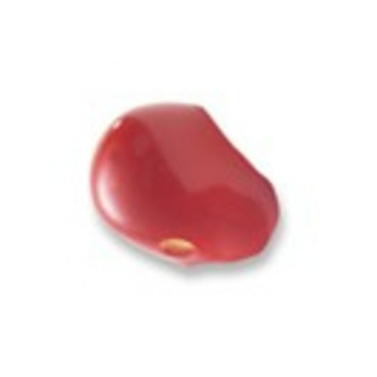 ProKNOWS - PM - Nez Professionel de Clown      