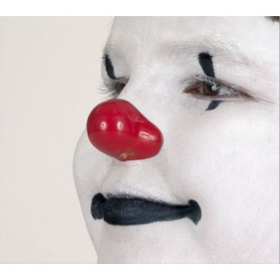 ProKNOWS - PM - Nez Professionel de Clown      