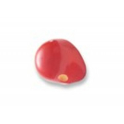 ProKNOWS - ROSE - Nez Professionel de Clown      
