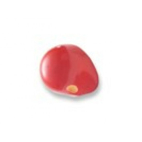ProKNOWS - ROSE - Nez Professionel de Clown      