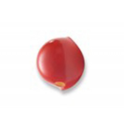 ProKNOWS - BS1 - Nez Professionel de Clown      