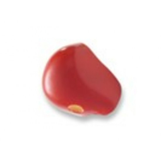 ProKNOWS - E1 - Nez Professionel de Clown      