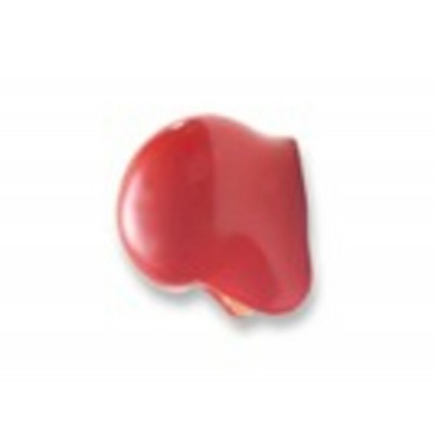 ProKNOWS - SC - Nez Professionel de Clown      