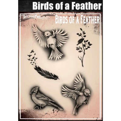 Wiser Birds of a Feather