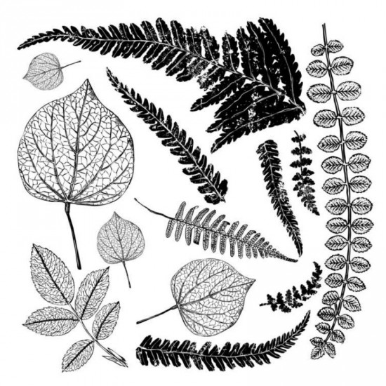 IOD - ÉTAMP - FRONDS