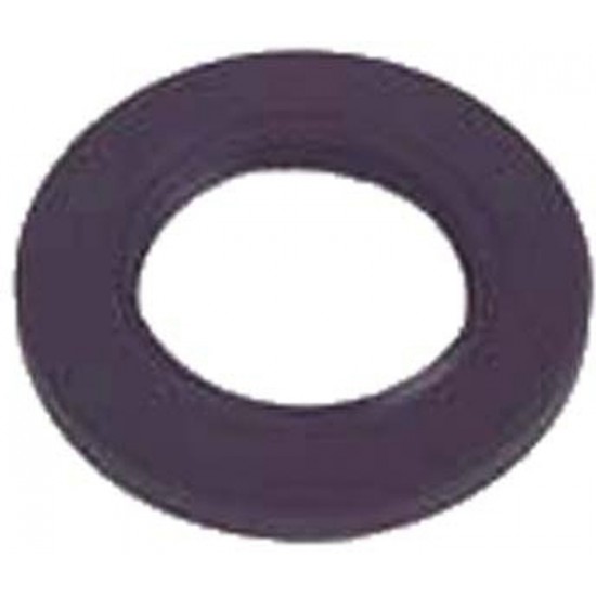 Motor shaft seal