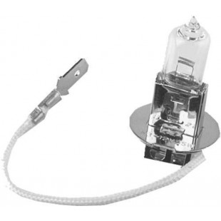 Ampoule