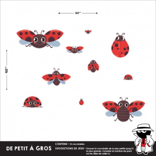Les Coccinelles en Grandeurs