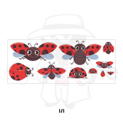 Les Coccinelles en Grandeurs