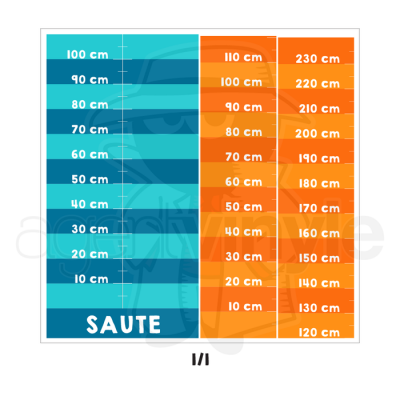 Le défi des Sauts